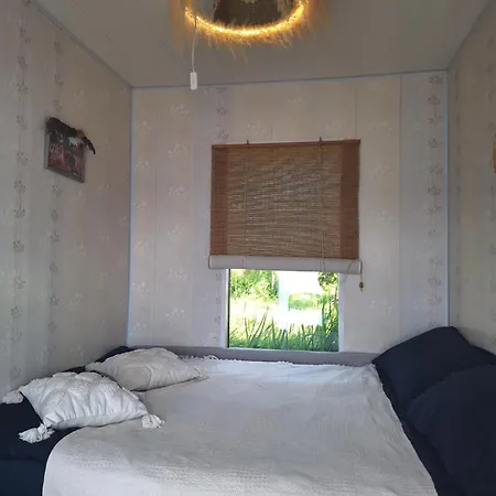 Úszó hotel Dzintarkrasts